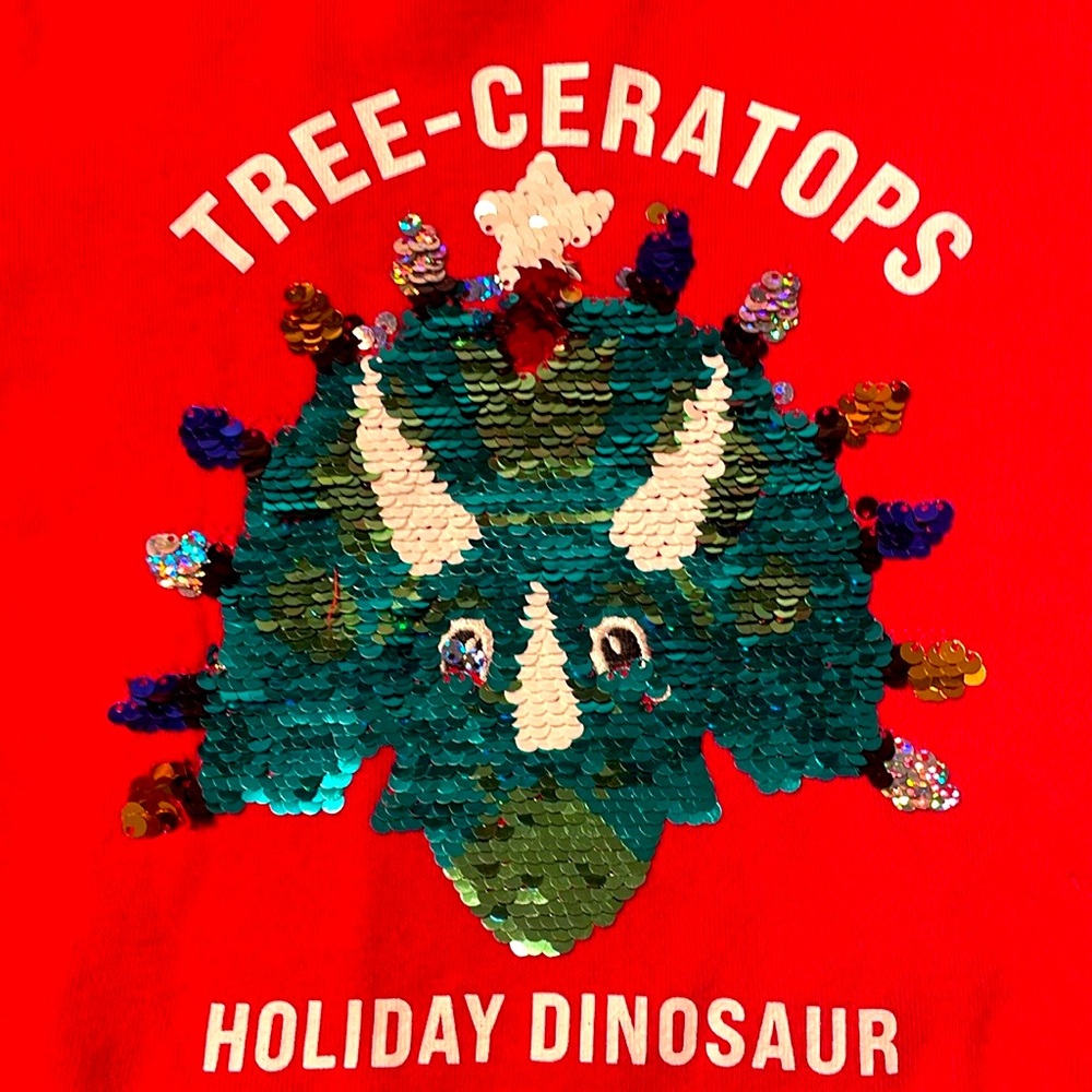 Holiday sequin flip sweatshirt